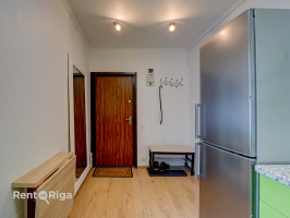 Jāņa Pliekšāna - Attēls