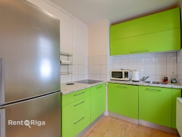 Jāņa Pliekšāna - Attēls