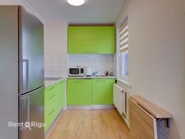 Jāņa Pliekšāna - Attēls