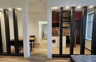 Firsa Sadovņikova 39a - Attēls