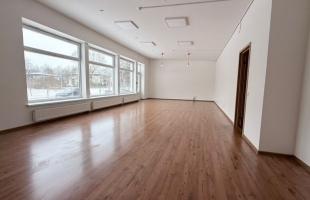 Zaļenieku - Attēls