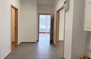 Zaļenieku - Attēls