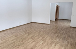 Zaļenieku - Attēls