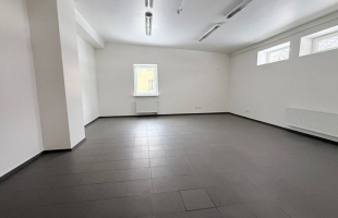 Zaļenieku - Attēls