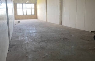 Daugavgrīvas - Attēls