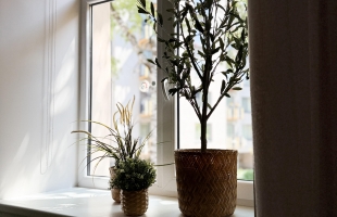 Antonijas 16 - Изображение