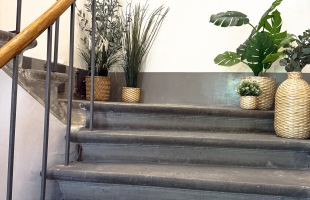 Antonijas 16 - Изображение