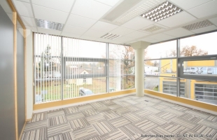 Ulmaņa gatve - Attēls