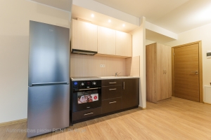 Firsa Sadovņikova 31 - Attēls