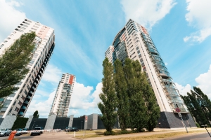 Grostonas 25 - Image