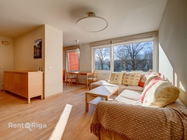 Dzirciema 1 - Attēls