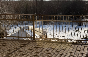 Ērkšķu iela - Attēls