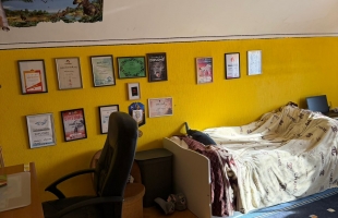 Ērkšķu iela - Attēls