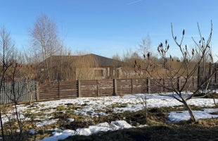 Ērkšķu iela - Attēls