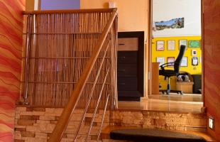 Ērkšķu iela - Attēls