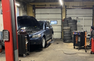 Ganību dambis - Attēls