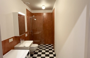 Lielirbes 9A - Attēls