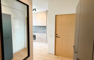 Lielirbes 9A - Attēls