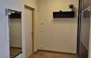 Vecā Biķernieku 21 - Attēls