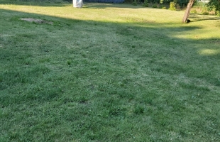 Vienības gatve - Attēls