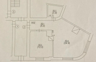Lapu - Изображение