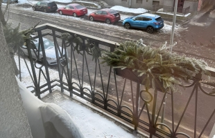 Eksporta 12 - Attēls