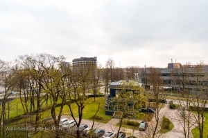 Raņķa dambis 34 - Attēls