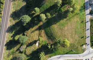 Kaķīškalna - Attēls