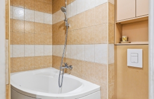 Lāčplēša 66 - Attēls