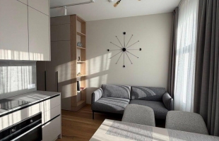 Dzirnavu 17 - Attēls