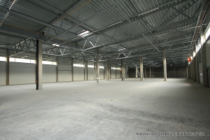 Daugavgrīvas - Attēls