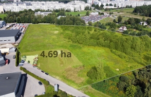 Rītausmas - Attēls