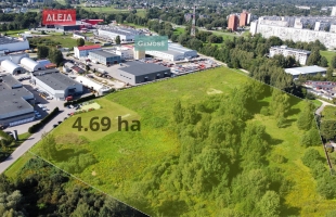 Rītausmas - Attēls