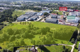 Rītausmas - Attēls