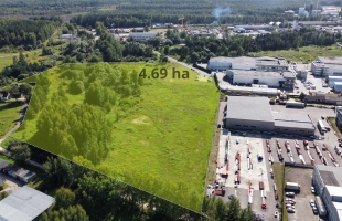 Rītausmas - Attēls