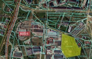 Rītausmas - Attēls