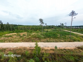 Juglas - Изображение