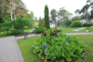 Piejūras 1a - Attēls