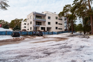 Piejūras 1a - Attēls