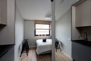 Ernesta Birznieka Upīša 20A - Attēls