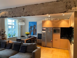 Kārļa Milenbaha 19 - Attēls