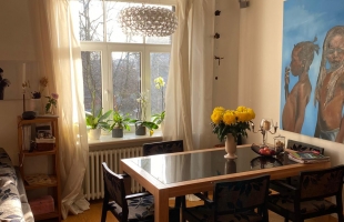 Kārļa Milenbaha 19 - Attēls