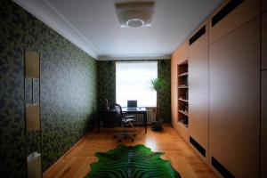 Kārļa Milenbaha 19 - Attēls