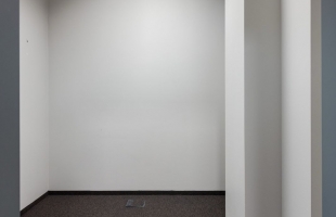 Bērzaunes - Attēls