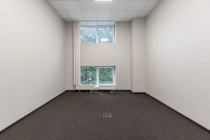 Bērzaunes - Attēls