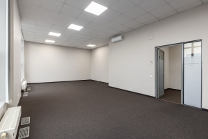 Bērzaunes - Attēls