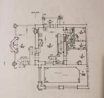 Salienieki - Attēls