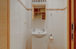 Salienieki - Attēls