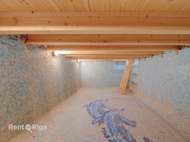 Salienieki - Attēls