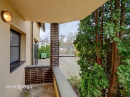 Salienieki - Attēls